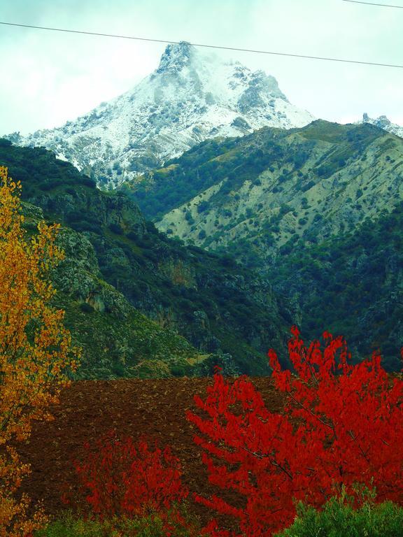 Apartamentos Turisticos Cumbres Verdes ลาซูเบีย ภายนอก รูปภาพ